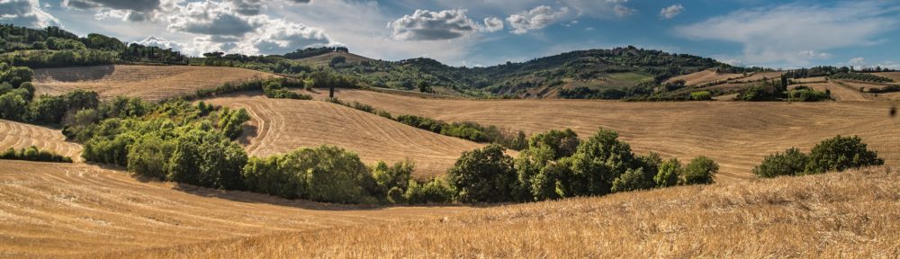 Regionální agentura pro rozvoj střední Moravy